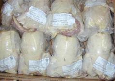 از ابتدای دی ماه شهروندان یزدی مرغ را با کد رهگیری خریداری کنند