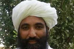 معاون سرکرده گروه انشعابی طالبان کشته شد + عکس