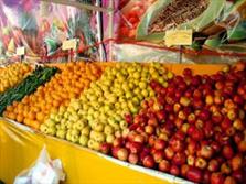عرضه نامحدود میوه ویژه شب یلدا در بازارهای شهرداری مشهد