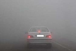 جاده های قزوین در مه فرو رفت