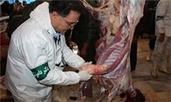 ۱۵۰۰ تن گوشت قرمز در خراسان رضوی تولید شد