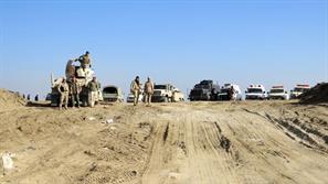ادامه پیشروی ارتش عراق در مناطق مختلف الرمادی/پاکسازی محله های "الضباط" و "الحوز"