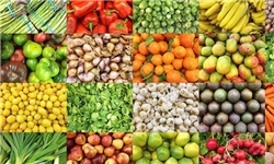 ۴۵۰۰ تن ذخیره میوه برای تنظیم بازار نوروز خراسان‌رضوی در نظر گرفته شده است