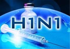 ویروس آنفلوآنزا H۱N۱در کردستان جان ۵ نفر را گرفت