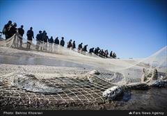 کاهش ۵۴ درصدی صید ماهی در دریای مازندران