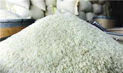 وزارت جهاد کشاورزی دستور بررسی قرارداد انحصاری فروش ۸۲هزار تن برنج دولتی را داد + سند