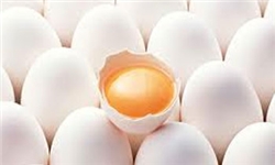 ۷۵ هزار و ۵۰۰ تن تخم‌مرغ صادر شد/ افزایش تقاضای صادرات