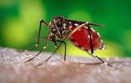اعلام آمادگی چین برای جلوگیری از ویروس زیکا در آمریکا