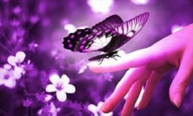 این عمل بهترین صدقه انسان است