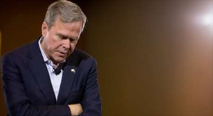 جب بوش از ادامه رقابت انتخاباتی صرفنظرکرد