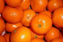 نارنگی کیلویی۱۱ هزار تومان