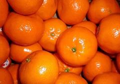لطفا دست نزنید: نارنگی ۱۱ هزار تومان!