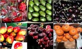 سازمان‌های تعزیرات و حمایت، مسئول برخورد با میوه‌های قاچاق شدند