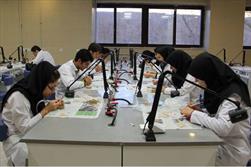 مقصد دانشجویان ایرانی کجاست/ تحصیل دانشجویان ۳۶ کشور در ایران