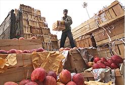 ۴ هزار و ۵۰۰ تن سیب و پرتقال ویژه نوروز در خراسان رضوی توزیع می‌شود