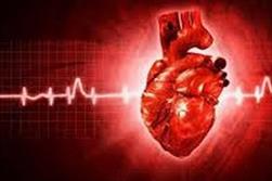 تأثیر کم‌خونی و تیروئید در نارسایی قلبی/انجام سالانه ۵ هزار پیوند قلب      اجتماعی
