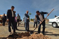 ۵۰۰ اصله نهال به مناسبت هفته درختکاری در میرآباد شهرکرد غرس شد