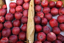 قیمت سیب نوروزی در مشهد۱۸۰۰و پرتقال ۱۹۰۰تومان تعیین شد