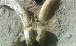 کشف بقایای جاندار ماقبل تاریخ در «ایسیک‌کول» قرقیزستان+تصاویر
