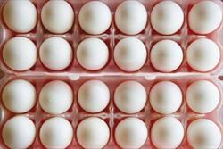 ۷۰ تن تخم مرغ غیرقابل مصرف معدوم شد