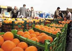 توزیع یک هزار و ۲۰۰ تن میوه شب عید در استان یزد آغازشد