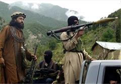 تحریک طالبان جذابیت دارد