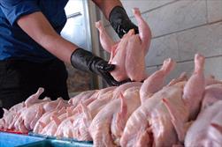 کاهش ۳۰۰ تومانی قیمت مرغ در بازار