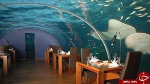 بزرگترین رستوران زیر دریایی جهان در مالدیو + تصاویر