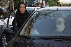 رفتار عجیب دختران در خودرو؛از انداختن روسری تا سگ گردانی و کشیدن سیگار+تصاویر