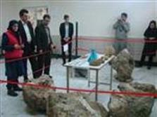 بازدید از کشف فسیل عظیم الجثه در اردبیل