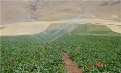 خراسان جنوبی دارای بیشترین تعداد صندوق حمایت از توسعه بخش کشاورزی در کشور است