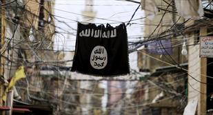 اعدام؛ پاداش " داعش" به سرکردگان خود