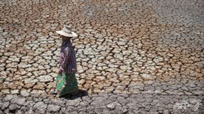 تاثیر پدیده آل نینو بر چشم انداز و بحران غذا در جنوب شرق آسیا