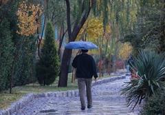 هفته بارانی در مازندران/ بارش های پراکنده از دوشنبه آغاز می شود