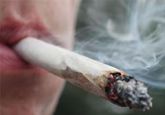 انتقاد ایران از مصوبه کمیسیون مواد مخدر سازمان ملل درباره حشیش و ماری‌جوانا
