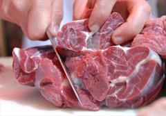 مصرف گوشت آلوده به تب برفکی خطر ندارد