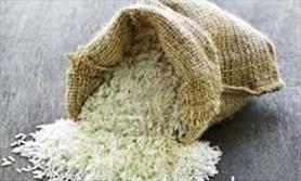 شرکت بازرگانی دولتی برنج از پاکستان وارد نمی کند