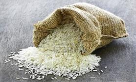 دولت برنج پاکستانی وارد نمی کند