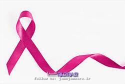 از هر ۱۲ زن ایرانی یک نفر سرطان سینه می گیرد/ نشانه های این بیماری زنانه چیست؟