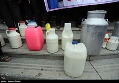 وزارت جهاد کشاورزی شیر خشک وارد نمی‌کند