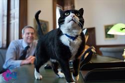 گربه ای محبوب تر از وزیر خارجه انگلیس