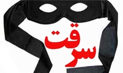 دستگیری سارق خانه‌باغ‌ها با ۱۵ فقره سرقت