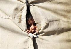 احتمال بروز بحران انسانی در فلوجه / ۲۰ هزار کودک در خطر + تصاویر