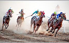 مسابقات اسب‌سواری در کاشمر ۳ مصدوم برجای گذاشت