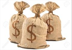 سود پروژه‌های وطنی برای ایرانیان مقیم خارج بیشتر است