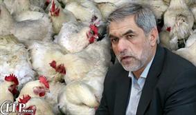 طرح کاهش وزن کشتار مرغ بعد از ماه رمضان اجرا می‌شود