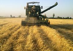 ایران و یونیدو تفاهمنامه افزایش بهره‌وری در بخش کشاورزی امضا کردند