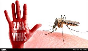آلودگی ۲۳۴ زن باردار آمریکایی به ویروس زیکا