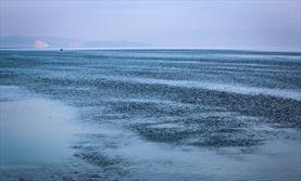 یکی از علل تثبیت وضعیت دریاچه ارومیه