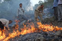 مهار آتش سوزی در طبیعت چناران